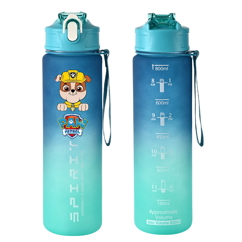 800 ml PAW Patrol Sportwasserf – Kids Outdoor Gym Bewertung und Preis