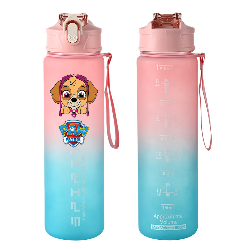 800 ml PAW Patrol Sportwasserf – Kids Outdoor Gym Bewertung und Preis