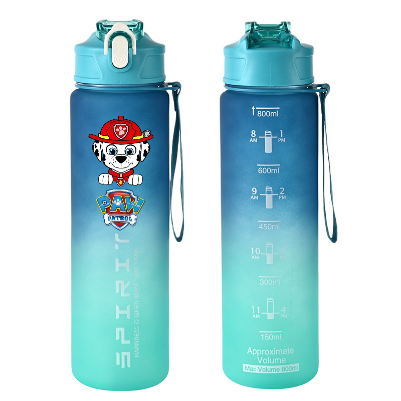 800 ml PAW Patrol Sportwasserf – Kids Outdoor Gym Bewertung und Preis